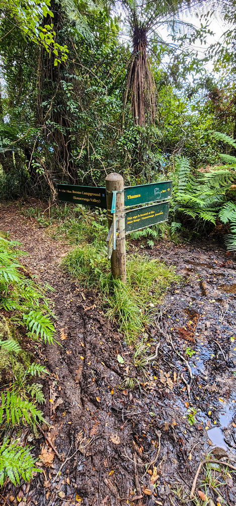DOC Karaka Track junction sign for Booms Campground, Thames, and Crosbies Clearing