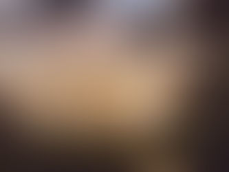 Trail leading down to Lonely Bay with a sunrise. Golden hour colours, native bush, and calm waters.