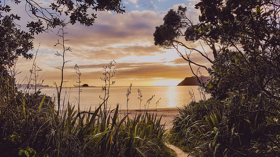 Sunrise at Lonely Bay, Mercury Bay Coromandel