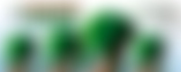 Floresta que cresce, Ação Solidária no Ano da Misericórdia