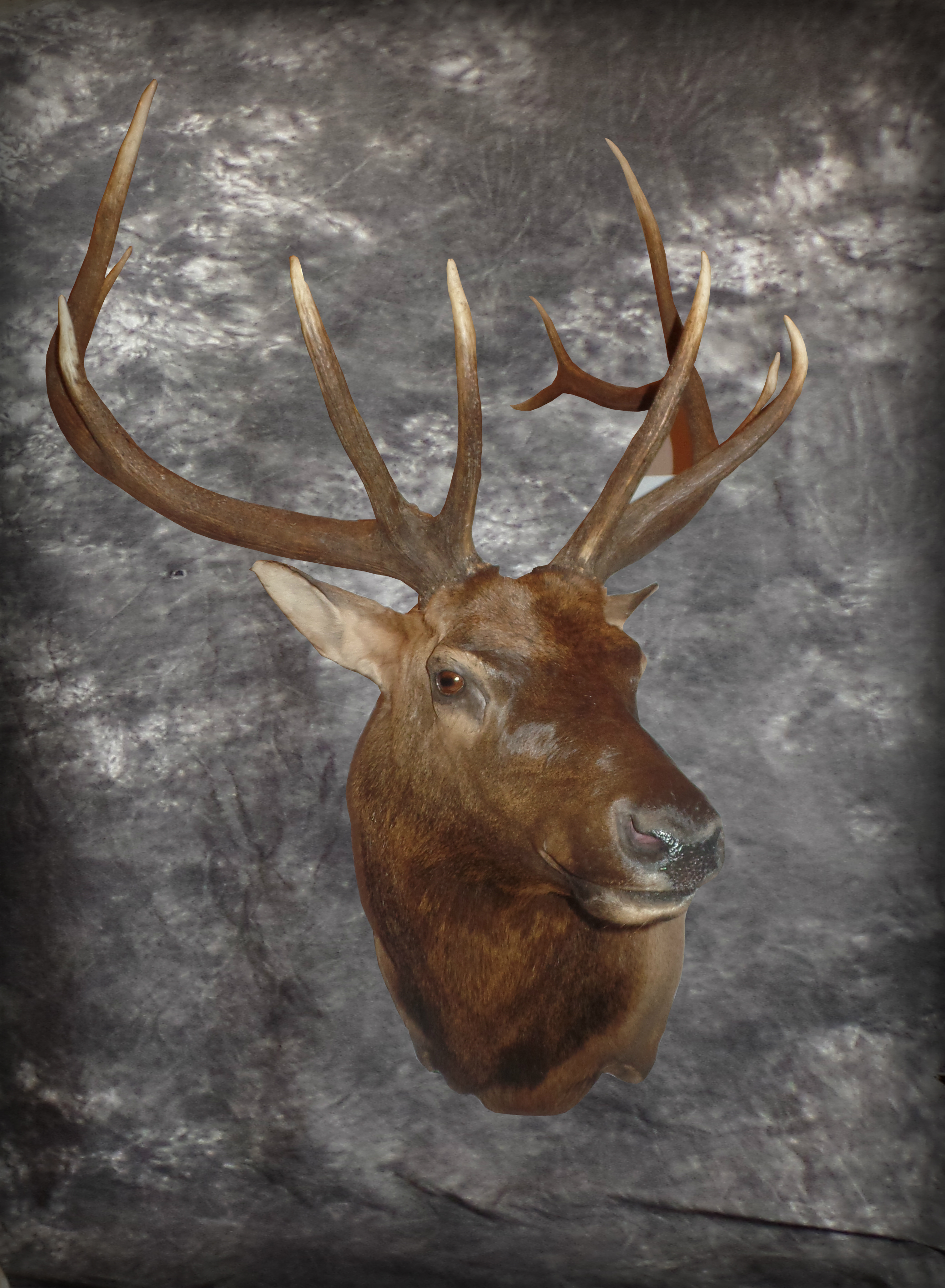 Mount 112