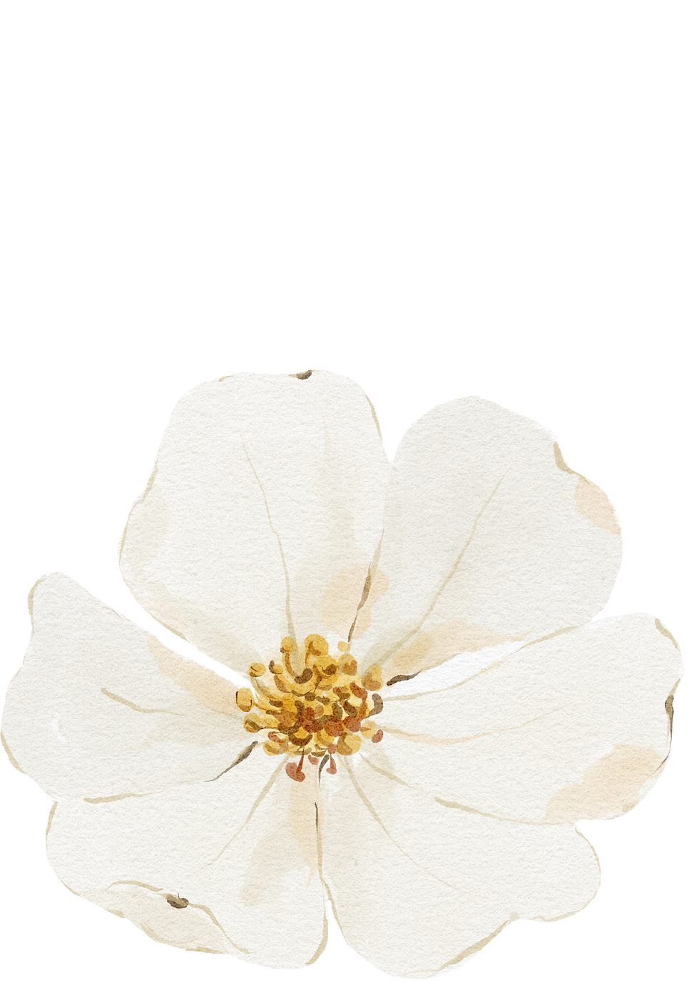 flor blanca