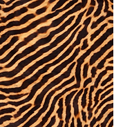 Screenshot 2026-01-07 at 8.35.08 PM.png