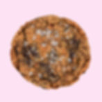 oatmeal chocolate pecan