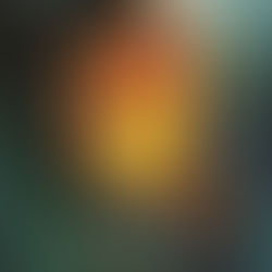 Review of ‘A Window to Her Dreams’ a novel by Harshali Singh