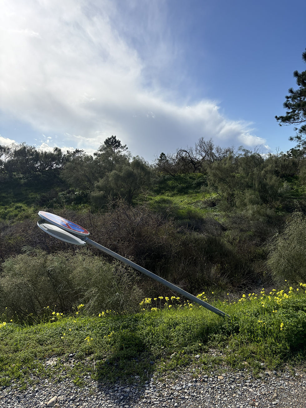 Já vindurinn blés.