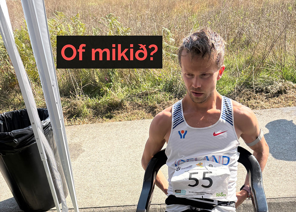 Hvað gerðist á HM í 100km?