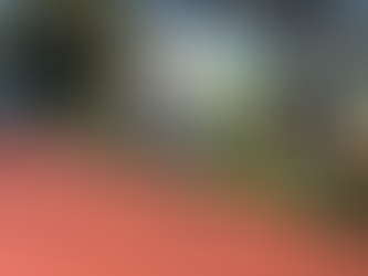 Íslandsmet í 100km