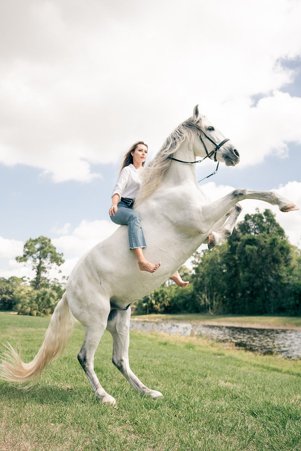 a blonde girl sitting on her horse in a white shirt and jeans while her horse is rearing on his hind legs
