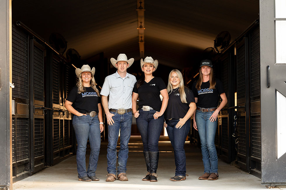 Schiavi Ranch