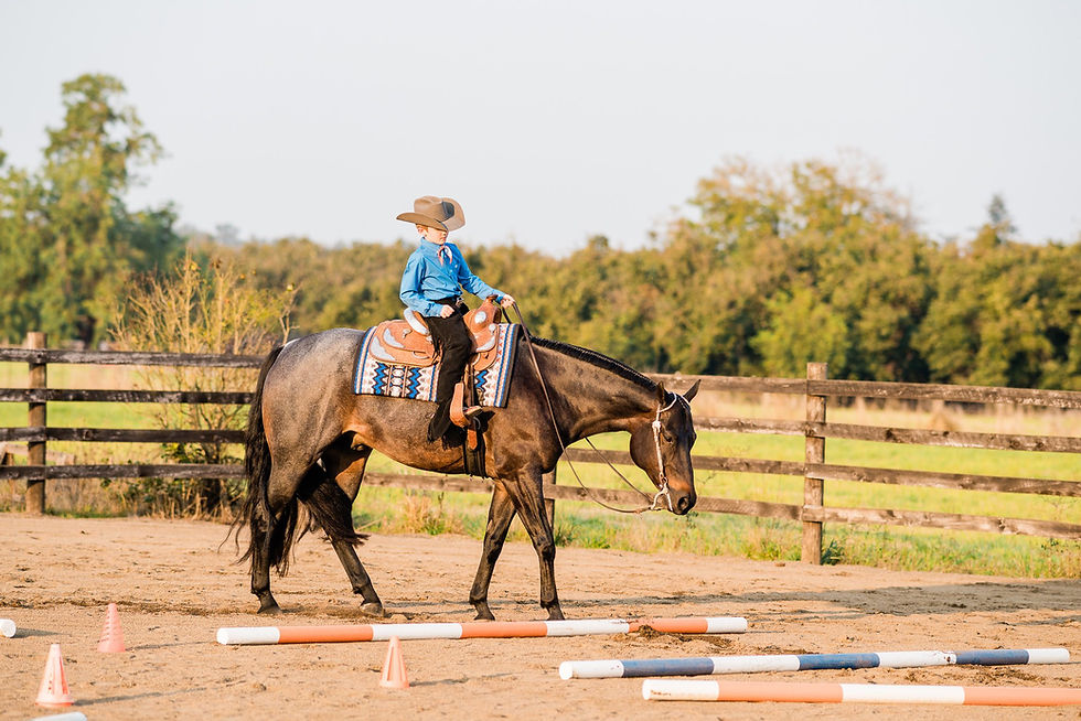 Jarod jogging Vinnie over some poles in the outdoor arena