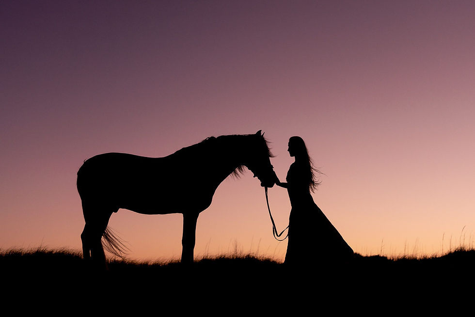 A silhouette of a girl wearing a dress standing in front of her horse petting his nose