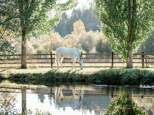 May 2020 Appaloosa Journal Calendar