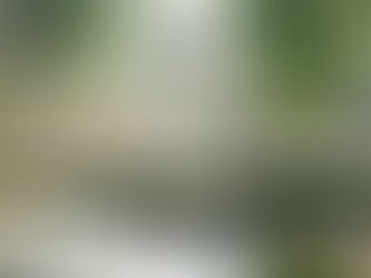 May 2020 Appaloosa Journal Calendar