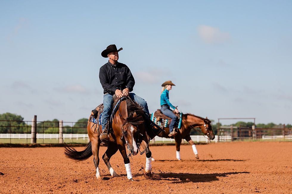 GT Performance Horses