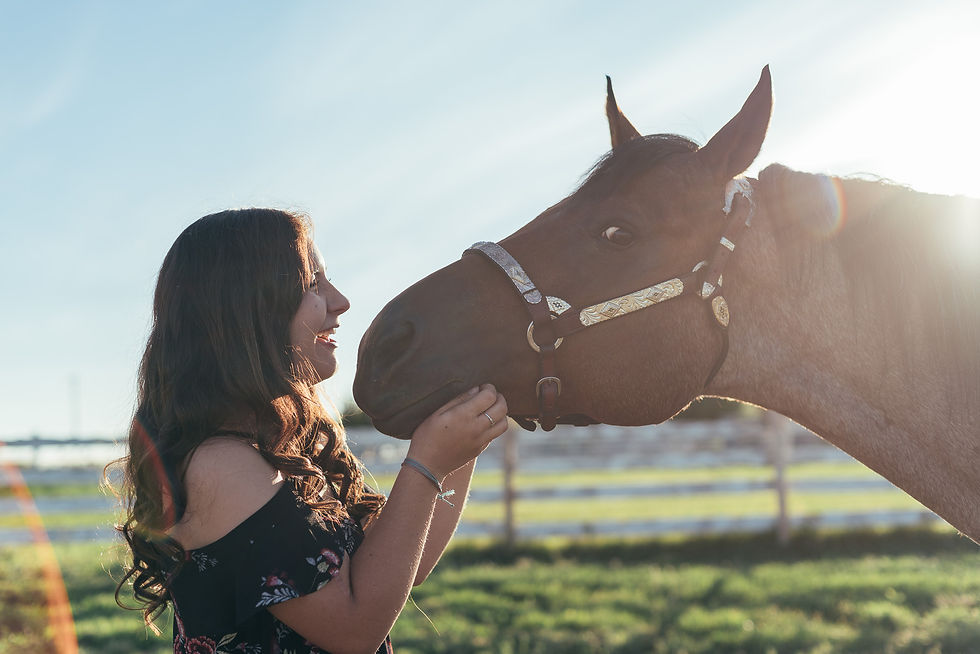 horse and girl