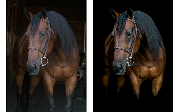 Stella Before and After