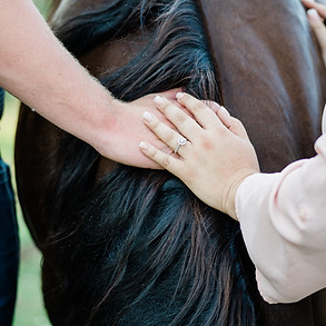 a couple holding hands over the mane of their horse