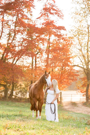 a girl in a white dress, kissing her sorrel AQHA reining gelding with golden fall trees behind them at sunset in Damascus, Maryland