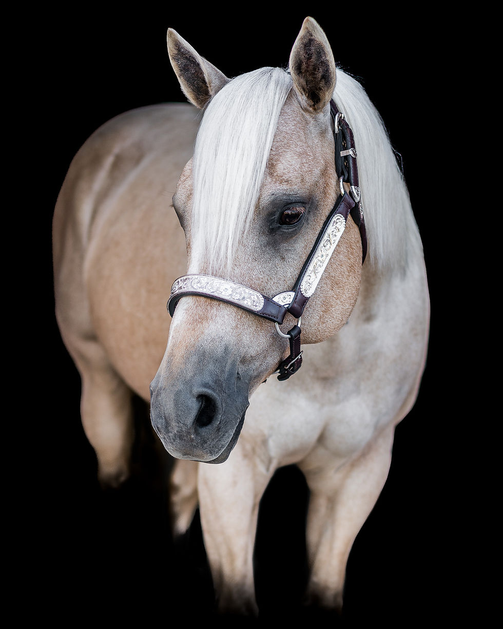 Betty (Sheiks Flashy Blonde)