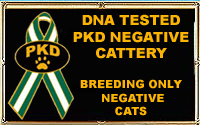 DNA TESTED PKD NEGATİVE CATTERY