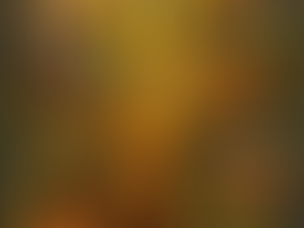 Más allá del folleto: cómo elegir el campamento de verano de tus hijos