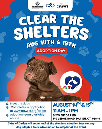 MINI & PAWS Flyer (2).jpg