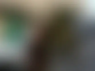 Lei de Prorrogação de Detenção de Israel para crimes contra segurança