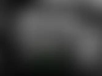 A evolução dos códigos, dos símbolos aos algoritmos