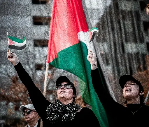 Liberdade e direito à informação na busca pela emancipação palestina