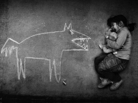 Dos Animais Humanos
