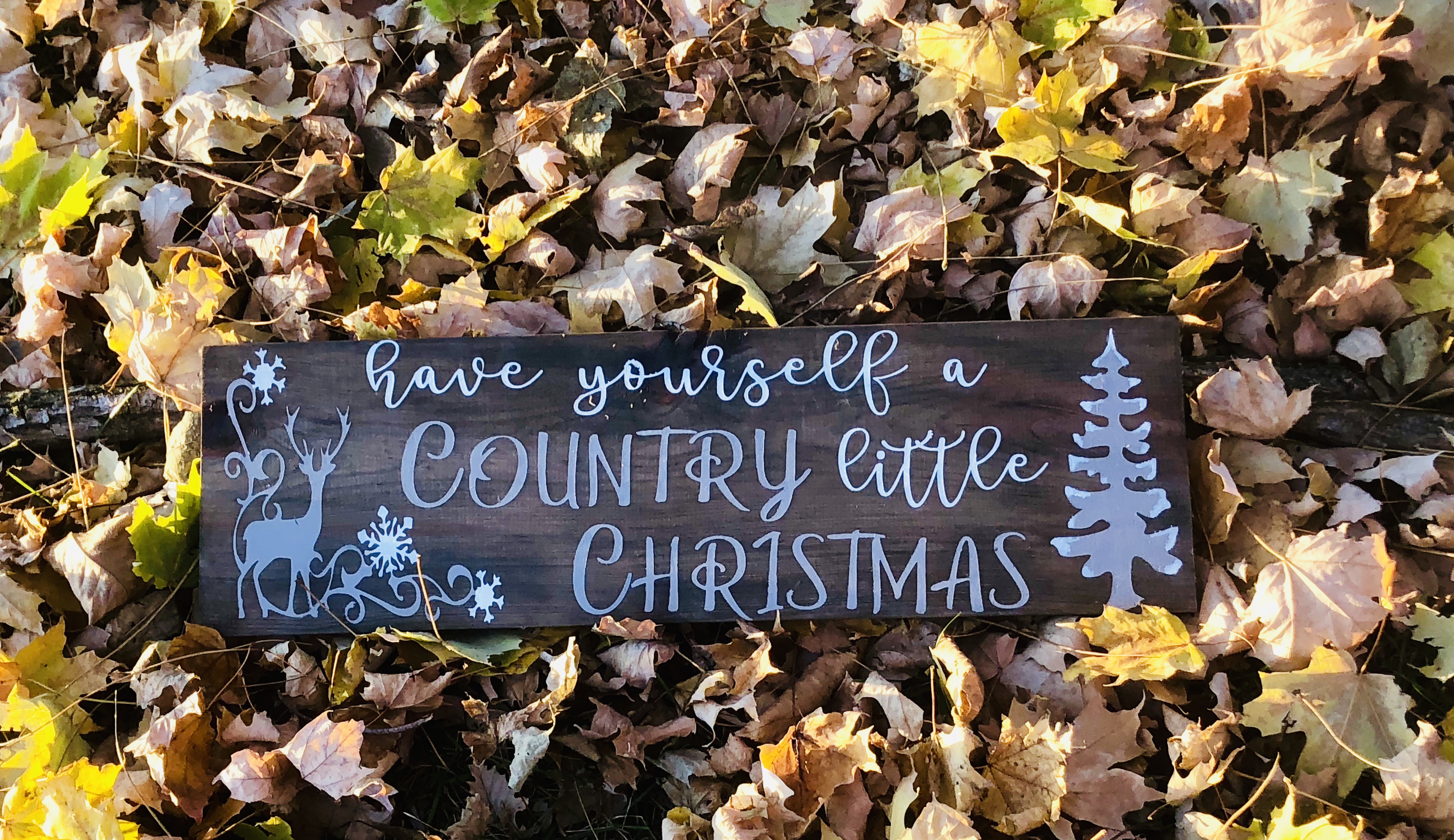 221 Country Christmas