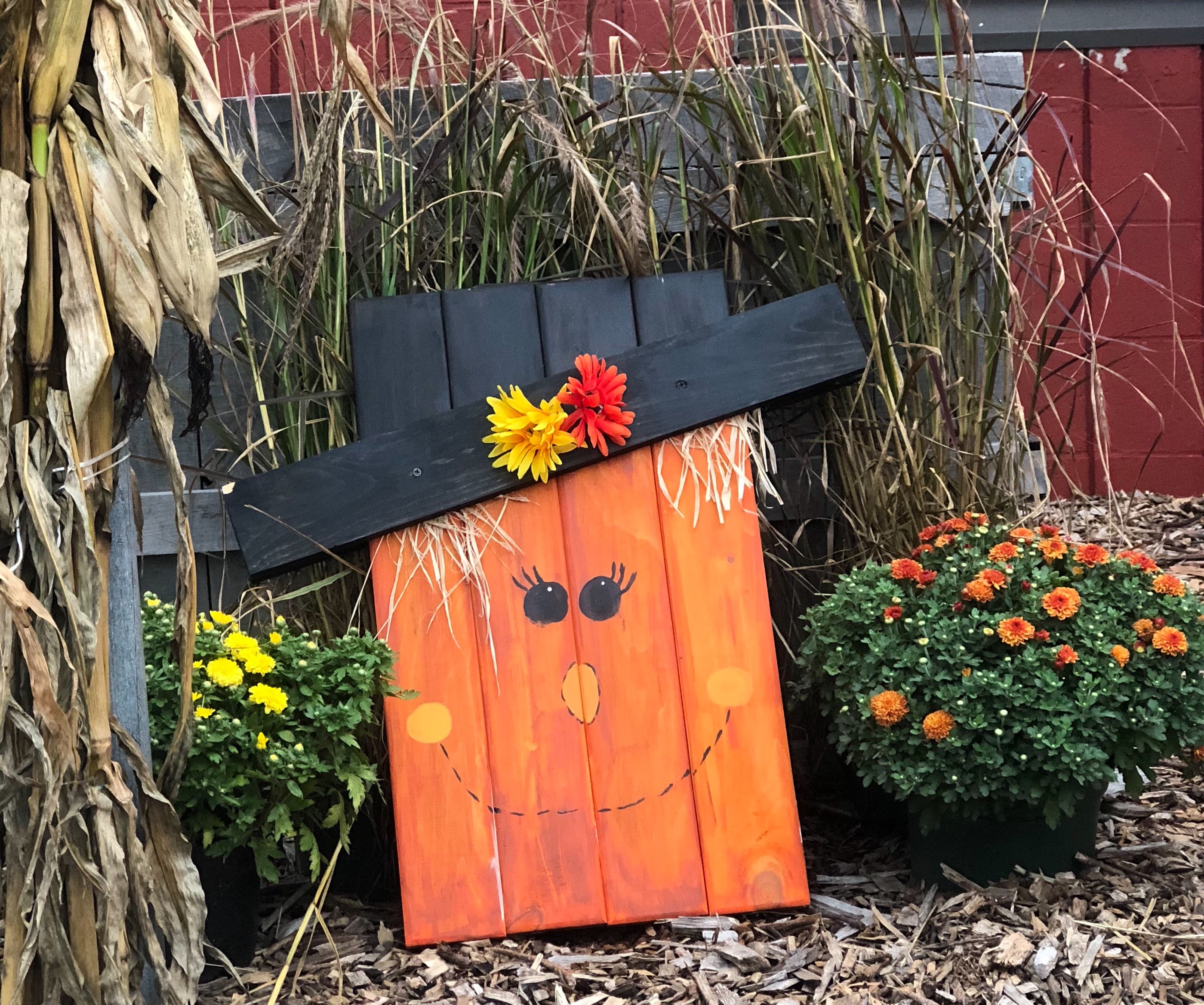 #203 Scarecrow