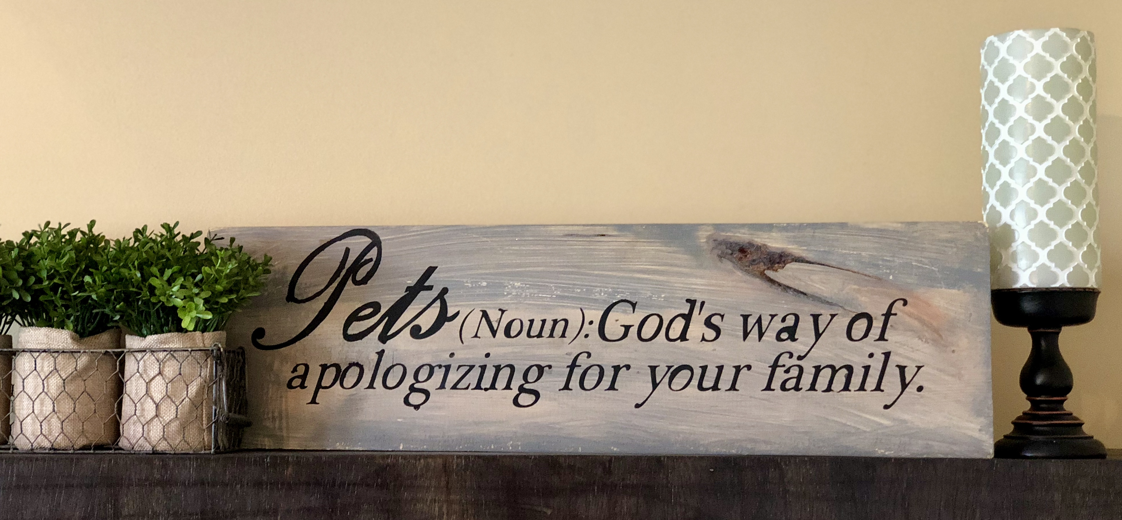 Pets Noun
