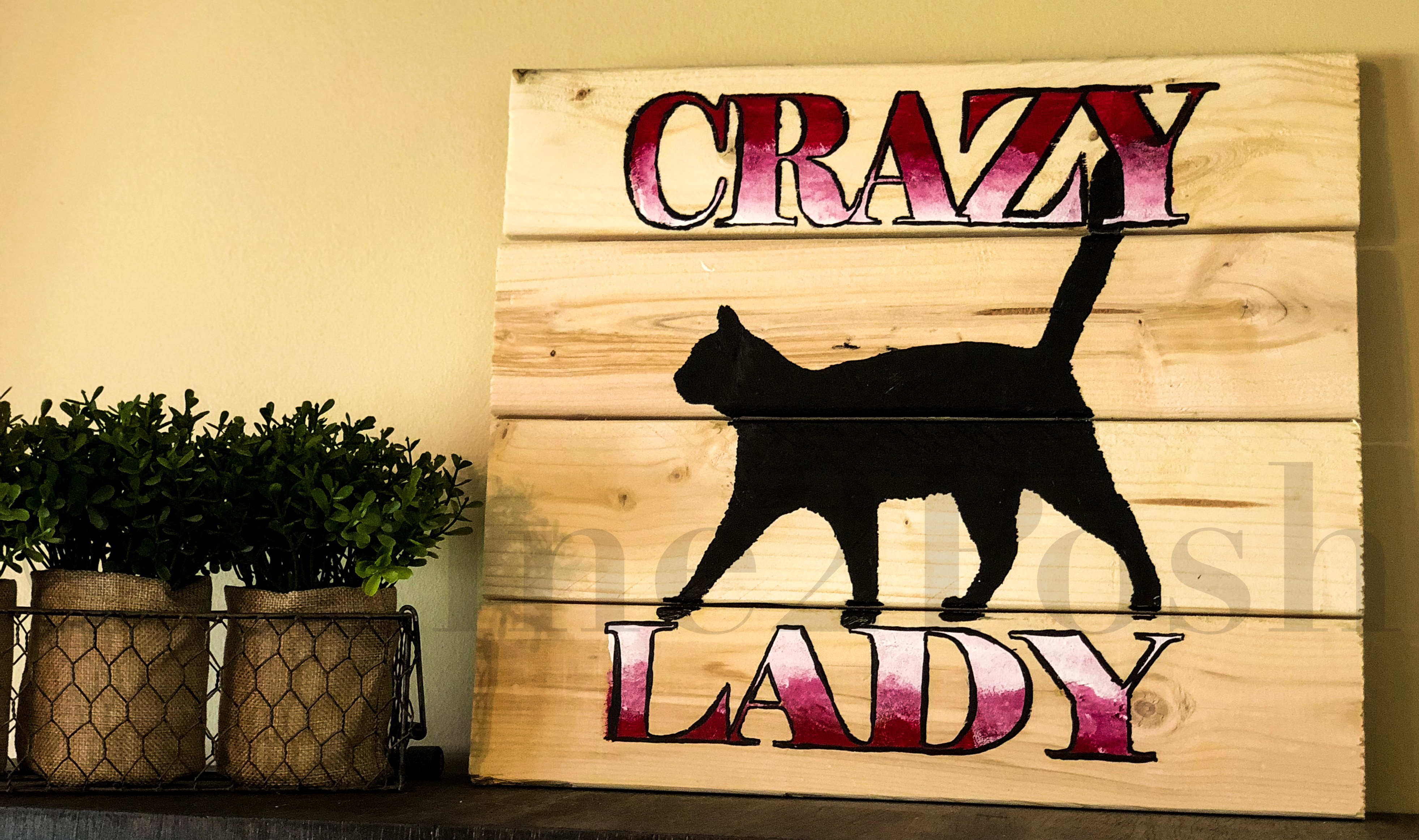 #131 - Cat Lady