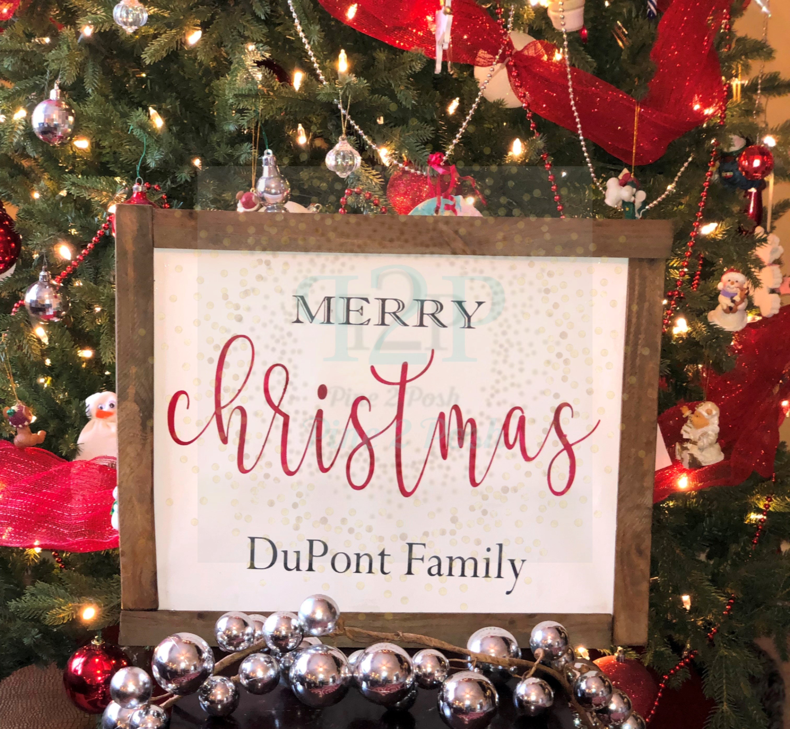 226 FAMILY CHRISTMAS (1)