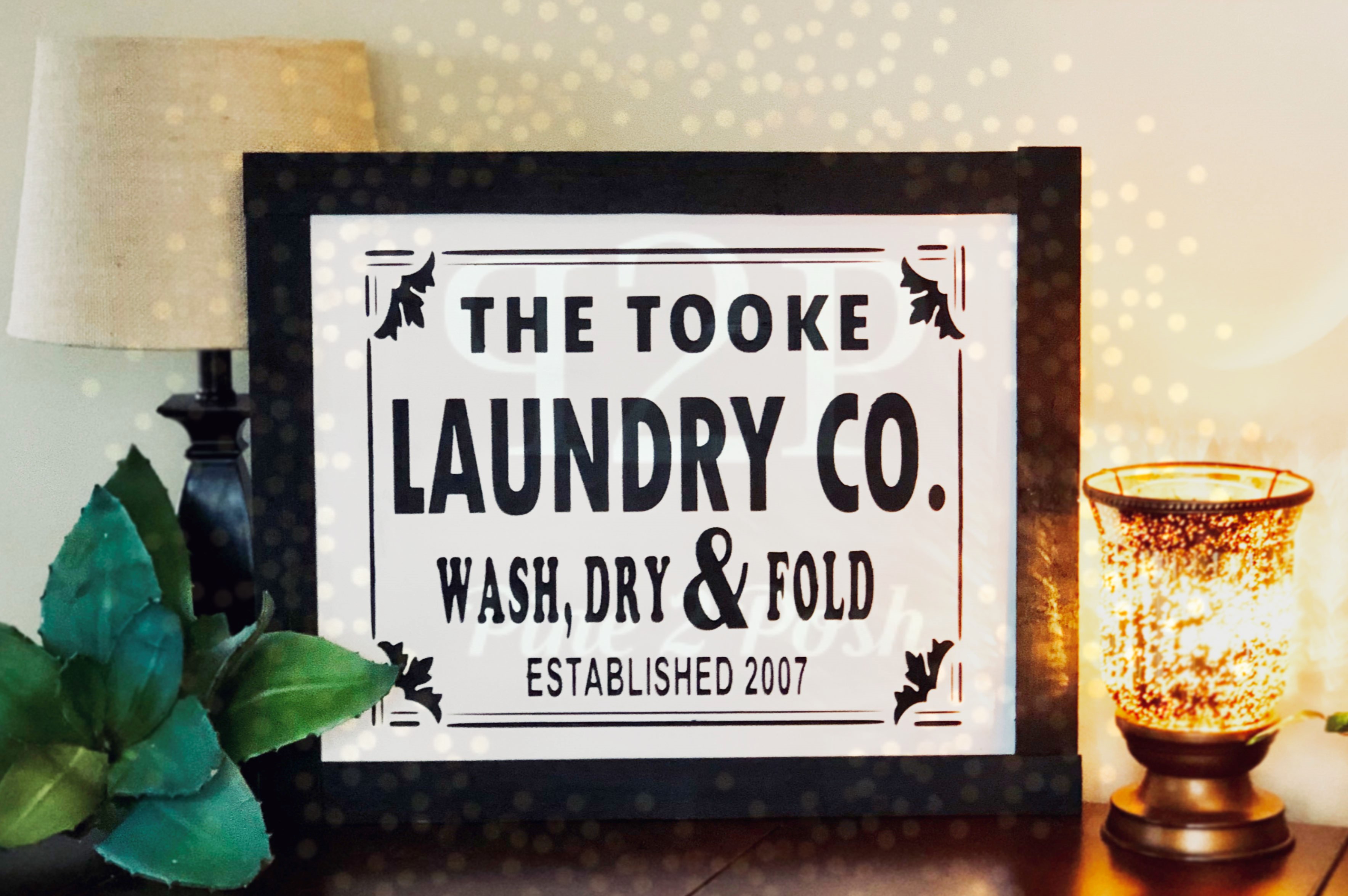 #243 - Laundry Co.