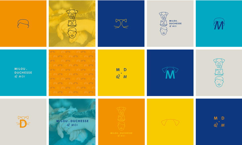 Couleurs et déclinaisons