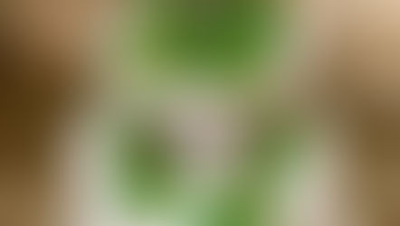 Christmas Holly Wreaths (Have Yourself a Merry Little Christmas)