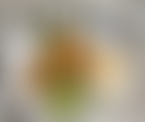 Honey Garlic Chicken