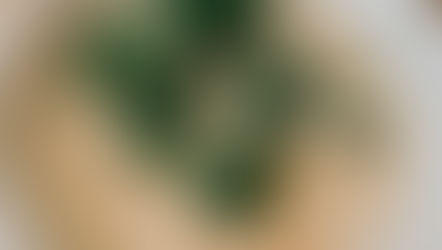 Clam Chowder (Be a Light - Thomas Rhett)