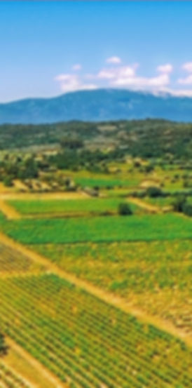 Domaine-Plein-Pagnier-PNR-Ventoux-©-Flaccomio-WeGo-3_edited_edited.jpg