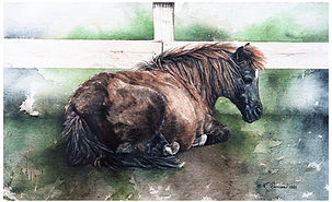 Brown pony lying down, watercolor by Kathy Paivinen