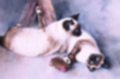 Two cats, Siamese, watercolor by Kathy Paivinen