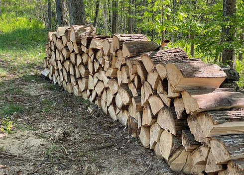 Screenshot 2025-10-22 104151.jpg