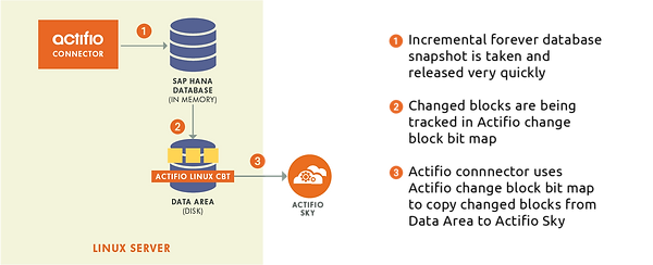 SAP HANA Actifio Mexico Q-ek Online clon en linea copia respaldo backup Rubrik