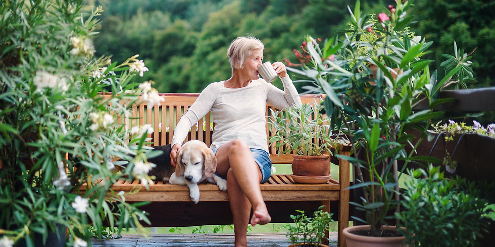 Cultivating Mindfulness