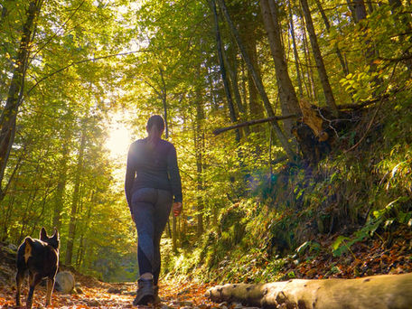 What does Intuition have to do with wellness?