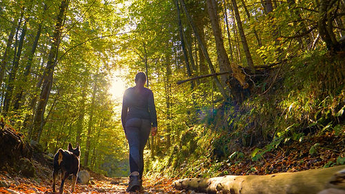 What does intuition have to do with wellness.