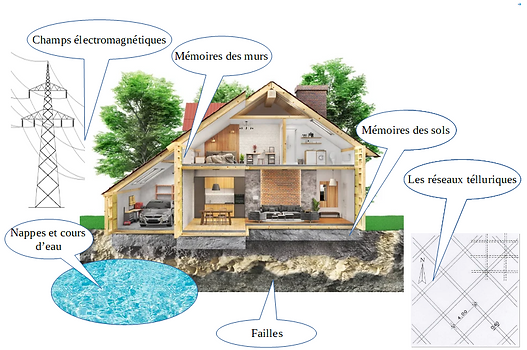 Géobiologie.png
